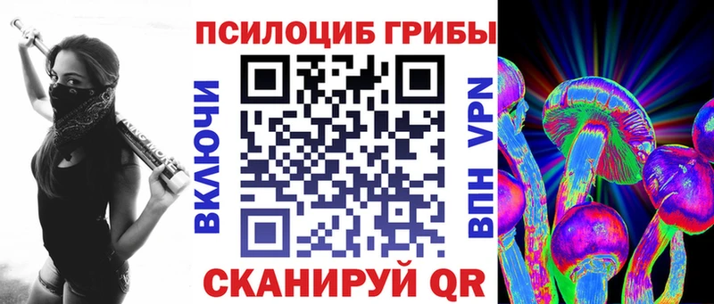 Купить закладки  Тимашёвск  Псилоцибиновые грибы Psilocybine cubensis 